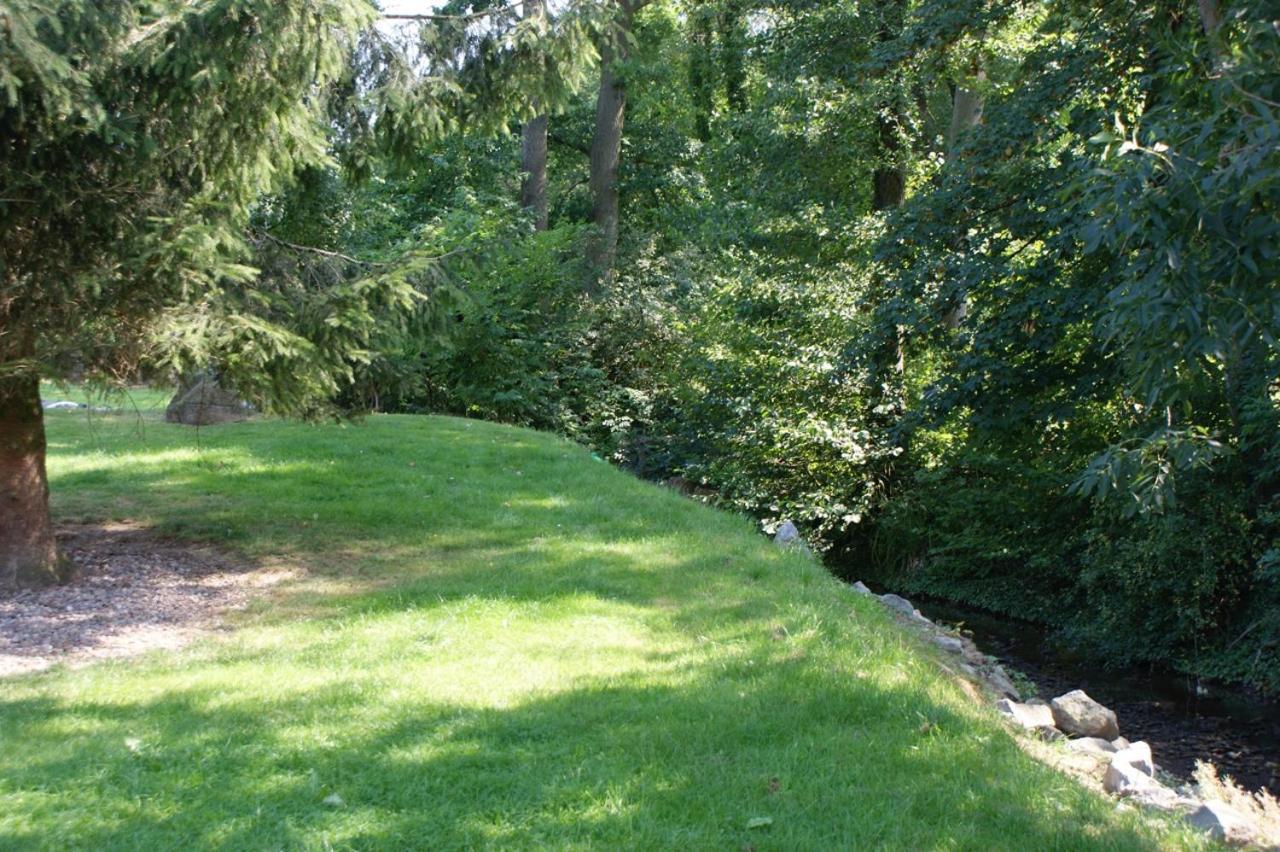 Romantic Wooden Lodge,Sauna,Schwimmteich,Alleinstehend,Absolut Ruhig Hessisch Oldendorf Kültér fotó